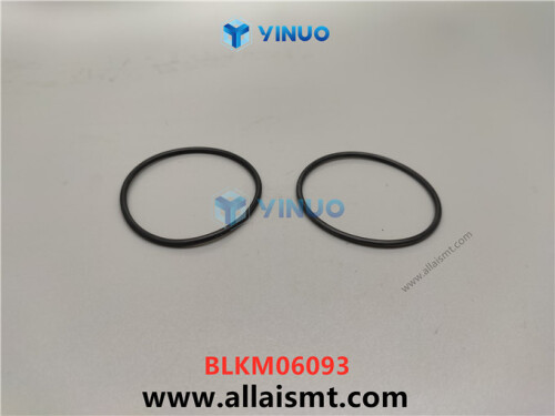 UIC BLKM06093 O RING (4)