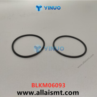 UIC-BLKM06093-O-RING-4