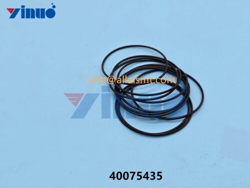 Universal-spare-part-40075435-O-RING-3.jpg