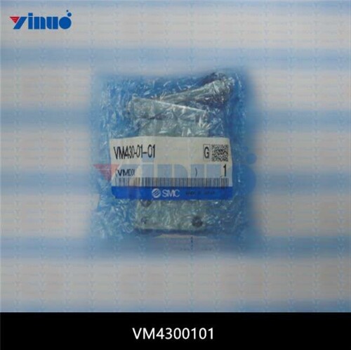 VM4300101
