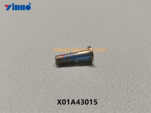 X01A43015-PIN-1.jpg