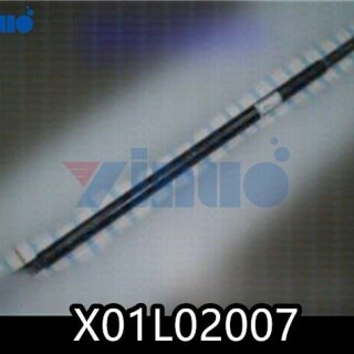 X01L02007