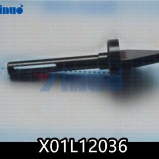 X01L12036