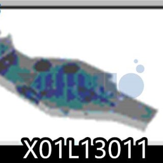 X01L13011