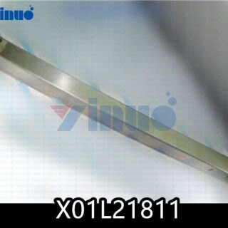 X01L21811