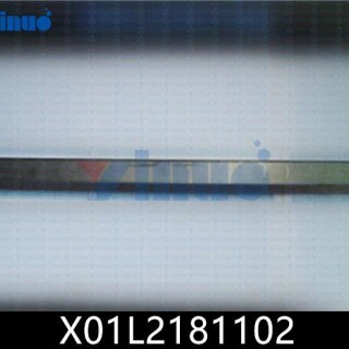 X01L2181102