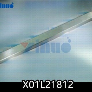 X01L21812