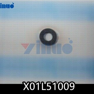 X01L51009