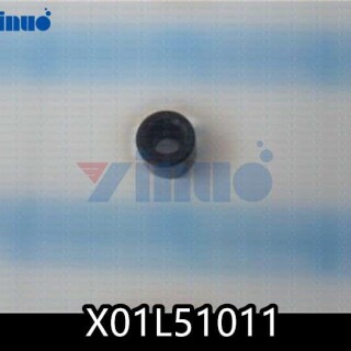 X01L51011
