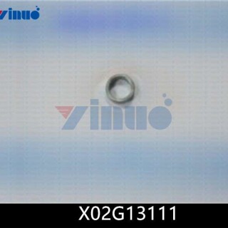 X02G13111