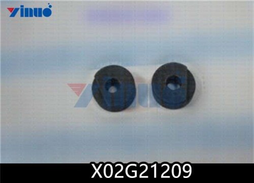 X02G21209