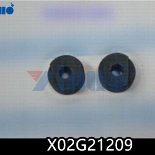 X02G21209