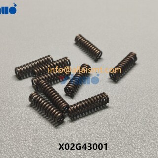 X02G43001-SPRING-2