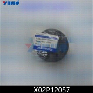 X02P12057