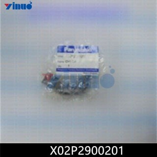 X02P2900201