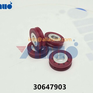 30647903-WHEEL-DRIVE-5