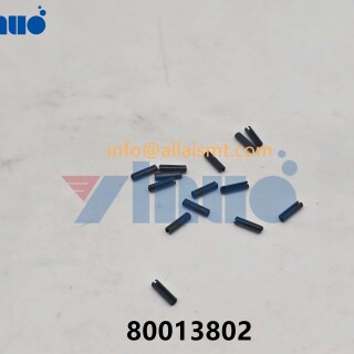 80013802-SPRING-PIN-1