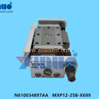 N610034897AA-MXP12-25B-X699-AIR-CYLINDER-4